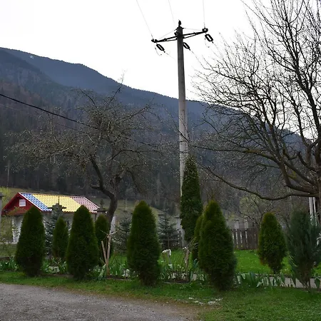 Casa Viv Гостевой дом 3*