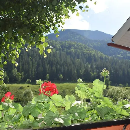 Casa Viv Guest house 3*